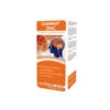 GAMMAZINC JBE F X 120ML